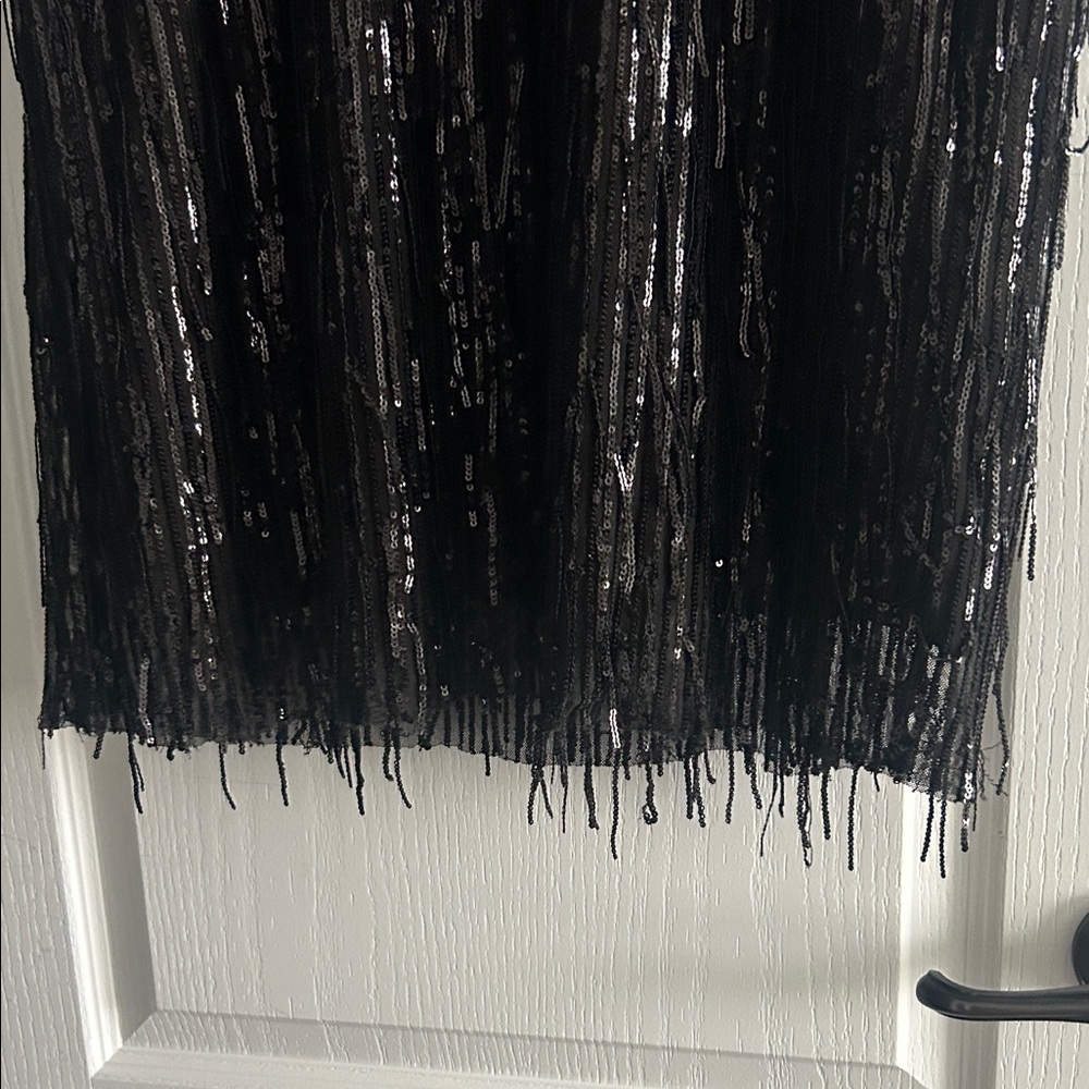 Black Zara Sequin Fringe Dress - Picture 3 of 6